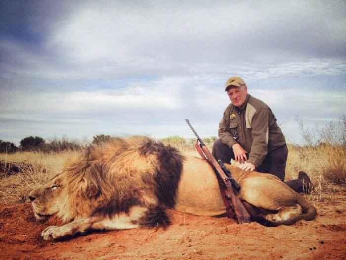 Отдых в Африке - Охота на льва